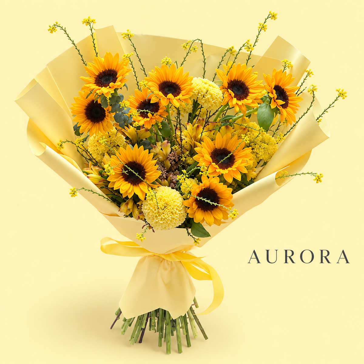 Ramo Aurora