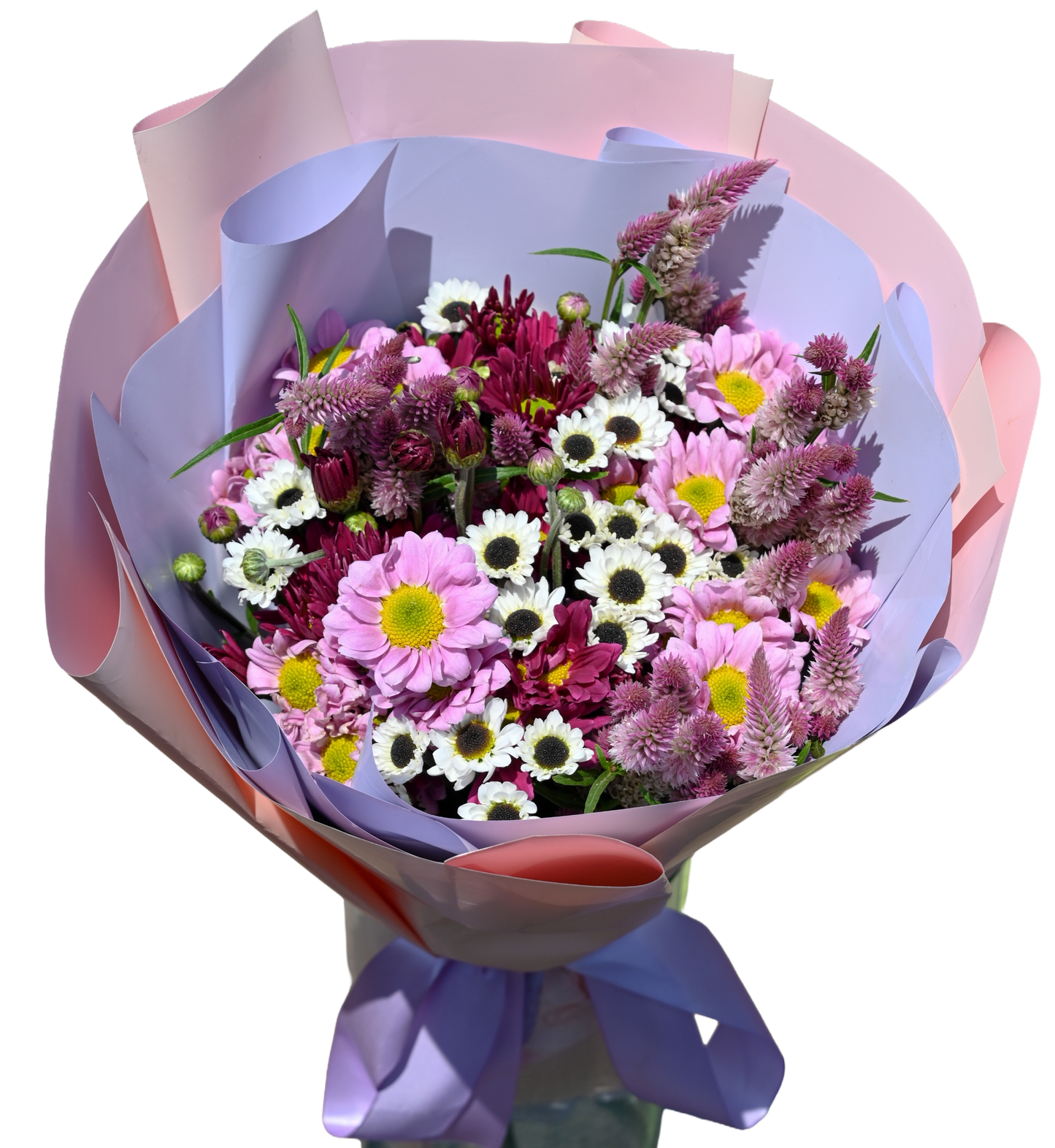 Flor de Campo