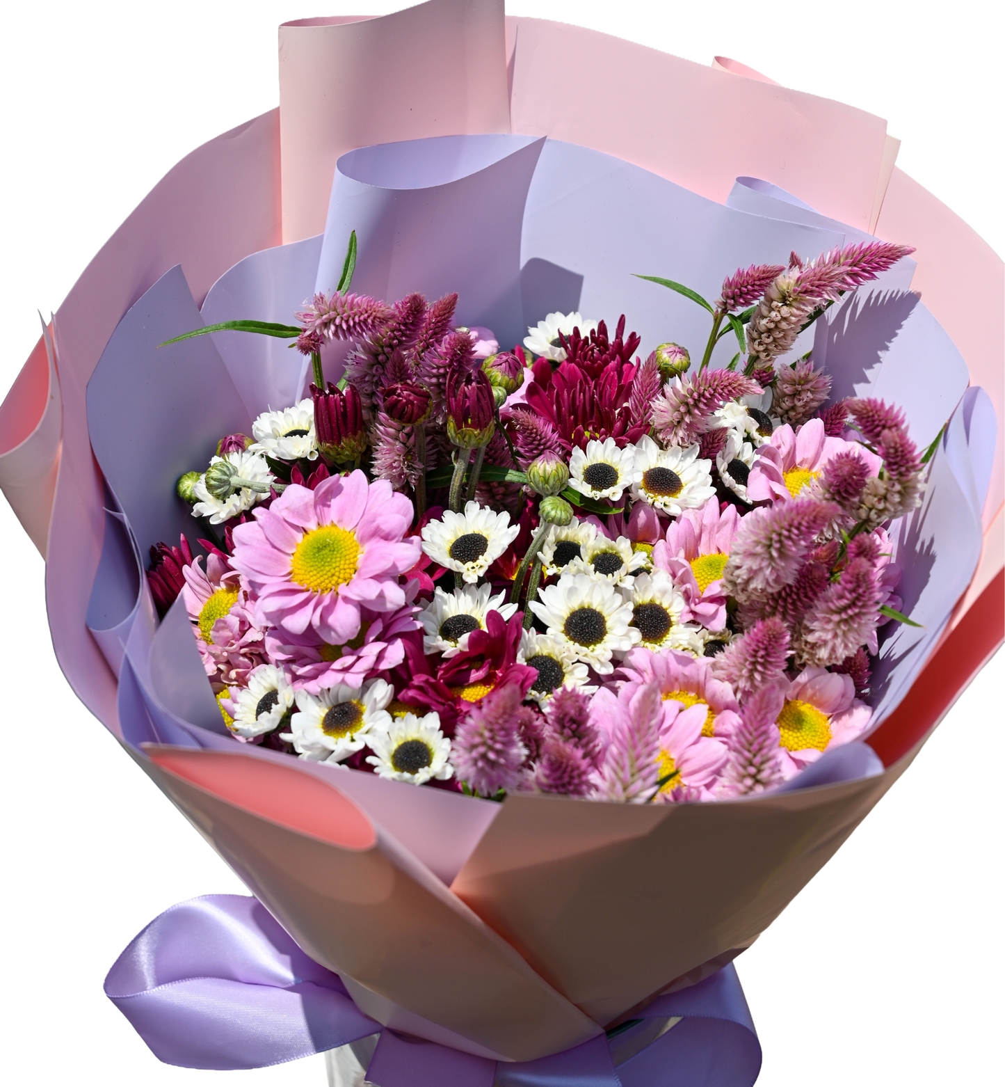 Flor de Campo