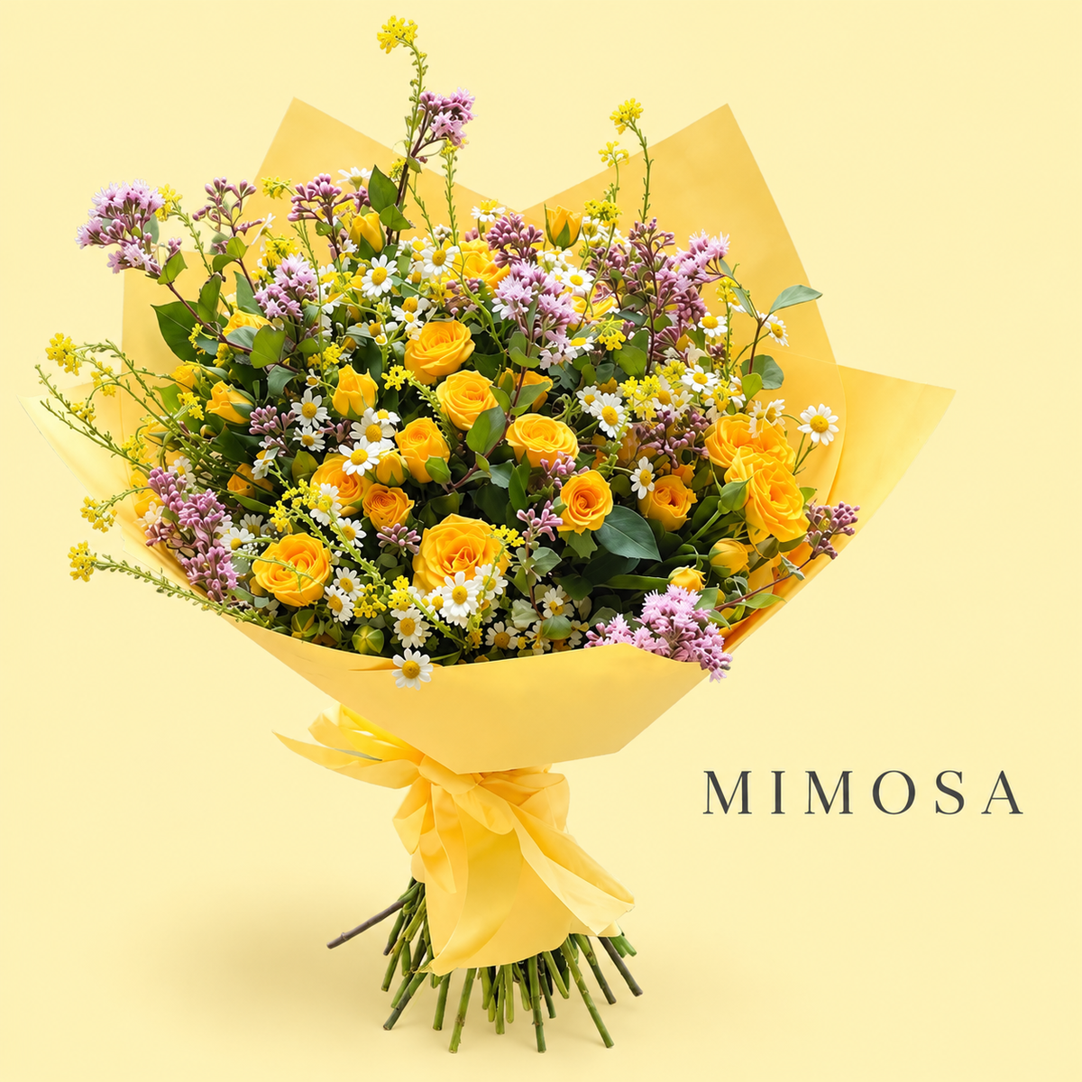 Ramo Mimosa